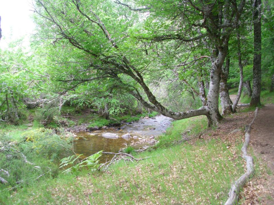 Rb Sierra Del RincÓn Rincón Silvestre 5896