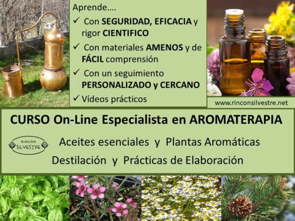 On Line Curso Especialista En Plantas Medicinales Parte1 Rincón Silvestre 8291